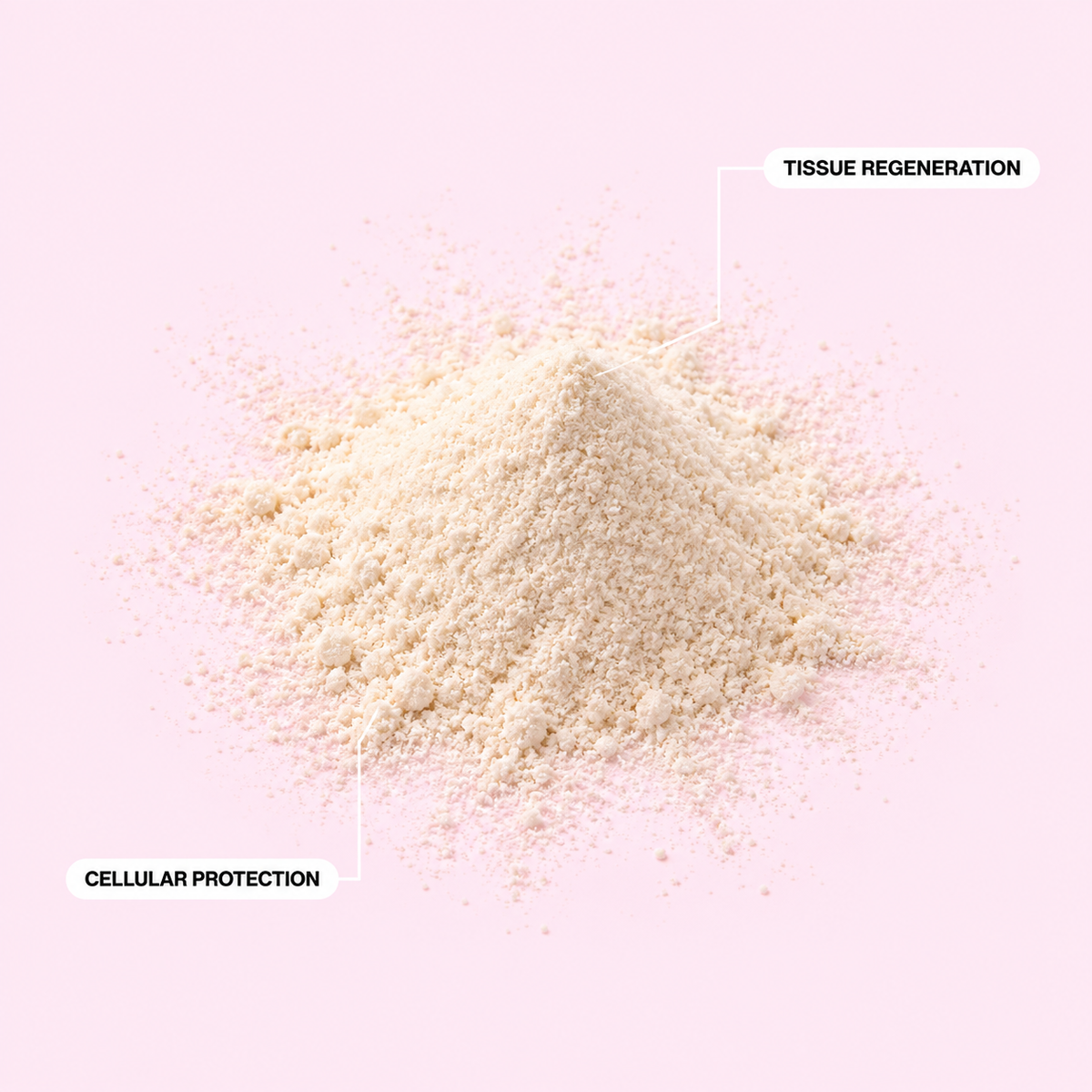 Cellular regeneration complex