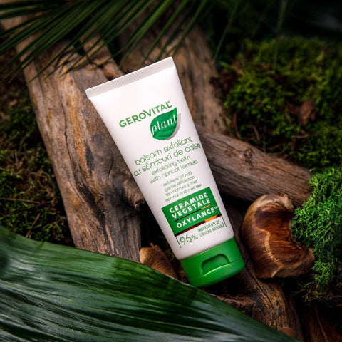 Gerovital Plant apricot-kernel exfoliating balm tube on wood and moss