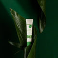 Gerovital Plant Ceramide Booster tube on a dark green leaf