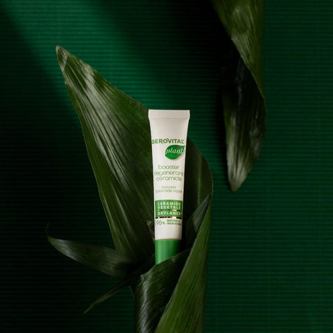 Gerovital Plant Ceramide Booster tube on a dark green leaf
