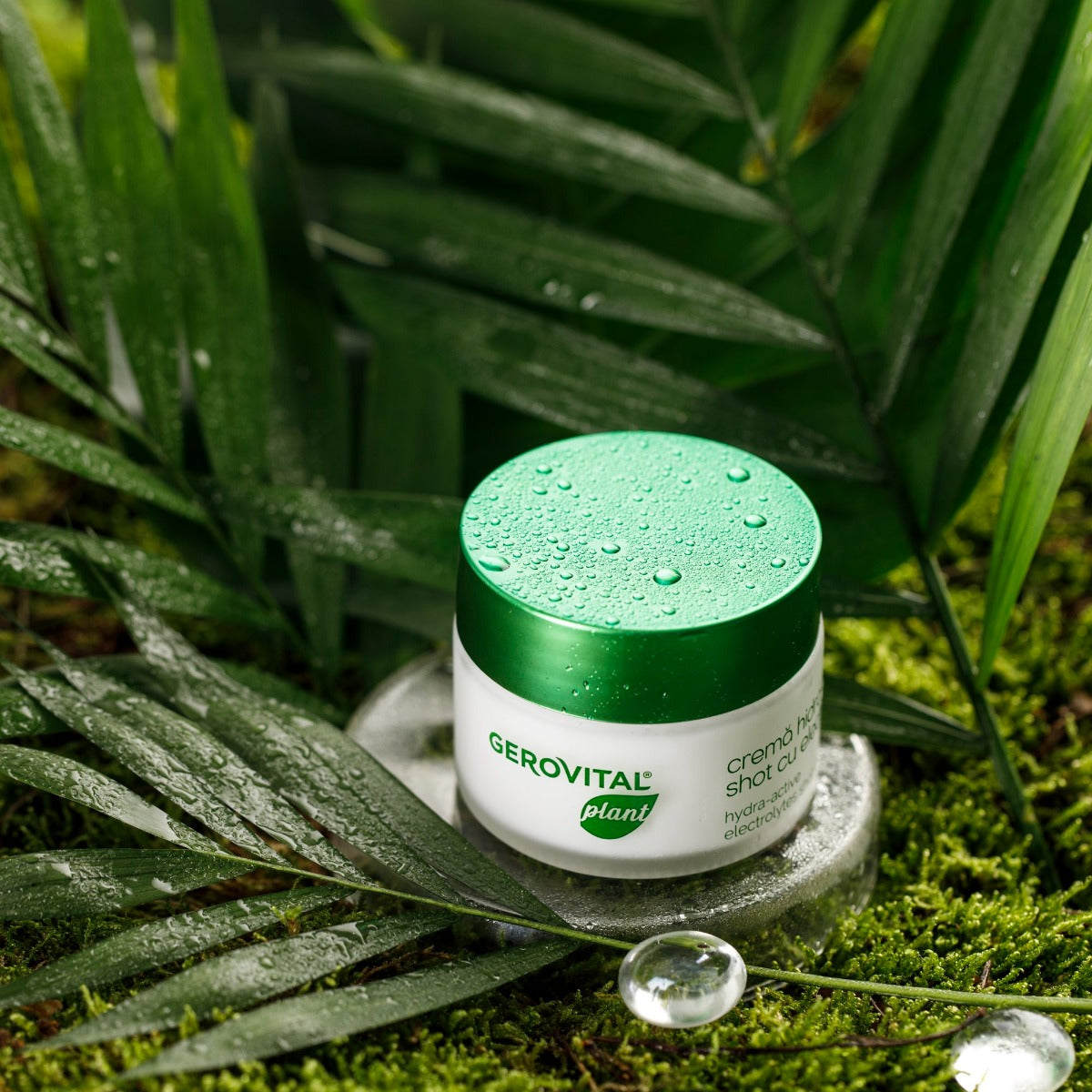 Gerovital Plant - Hidro Active Shot Cream (50 ml) – Gerovital