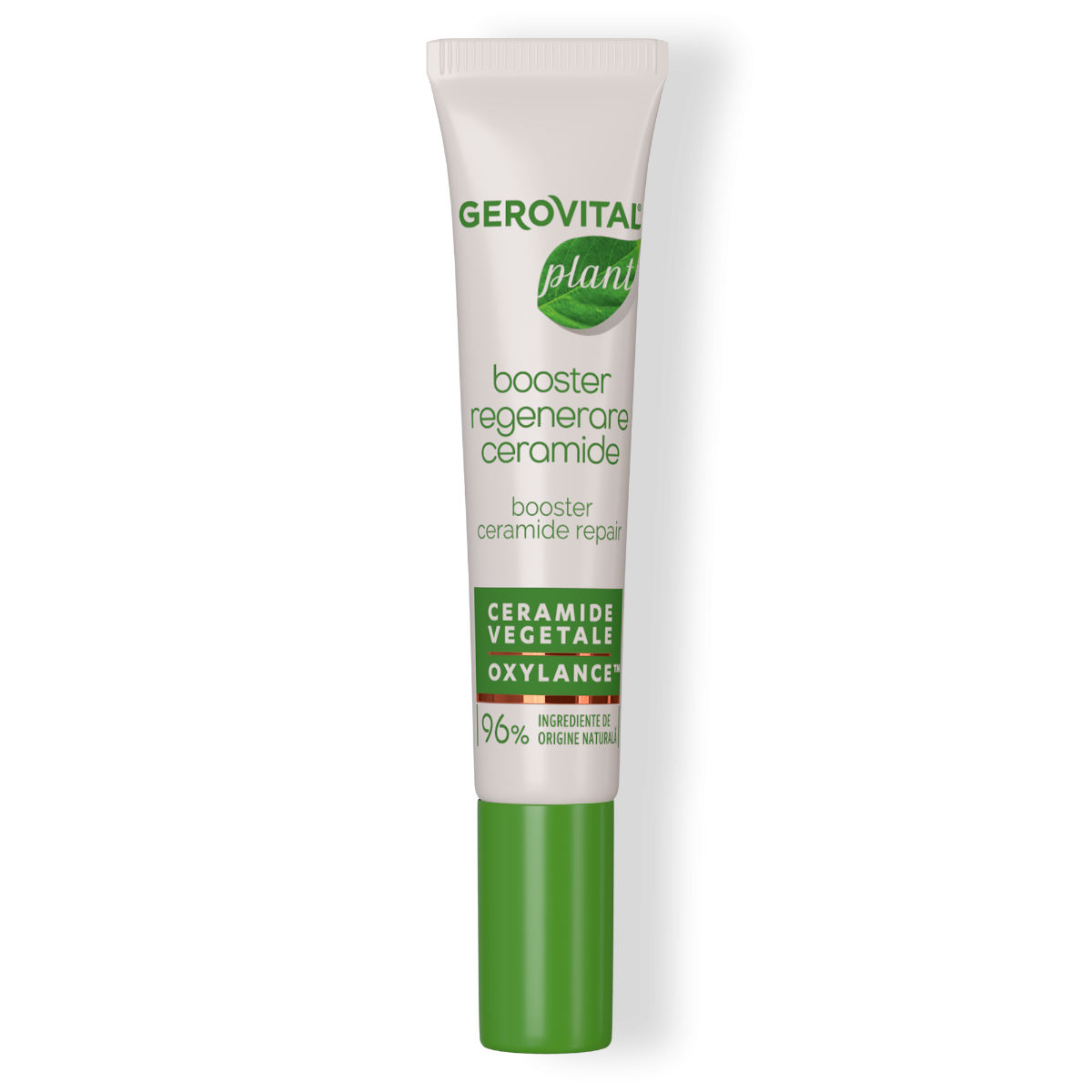 Gerovital Plant